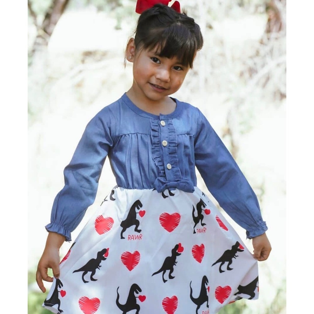 NEW Boutique Valentine's Day Dinosaur Heart Girls Long Sleeve Dress